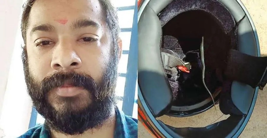 snake_inside_helmet_featured-1 Tai xe xe may suyt chet vi doi mu bao hiem co ran cuc doc ben trong hinh anh 1 snake_inside_helmet_featured.jpg